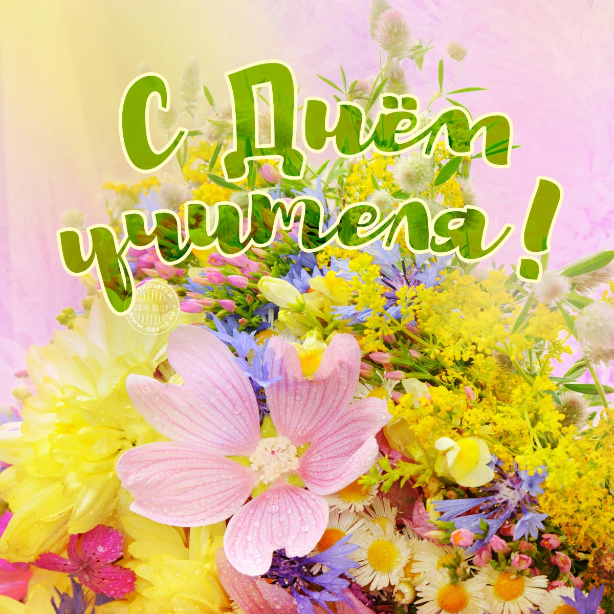 uchitel 17